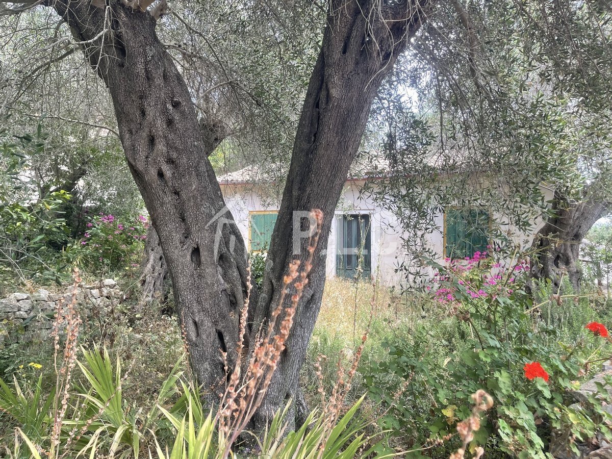 , for Sale -  PAXOS
